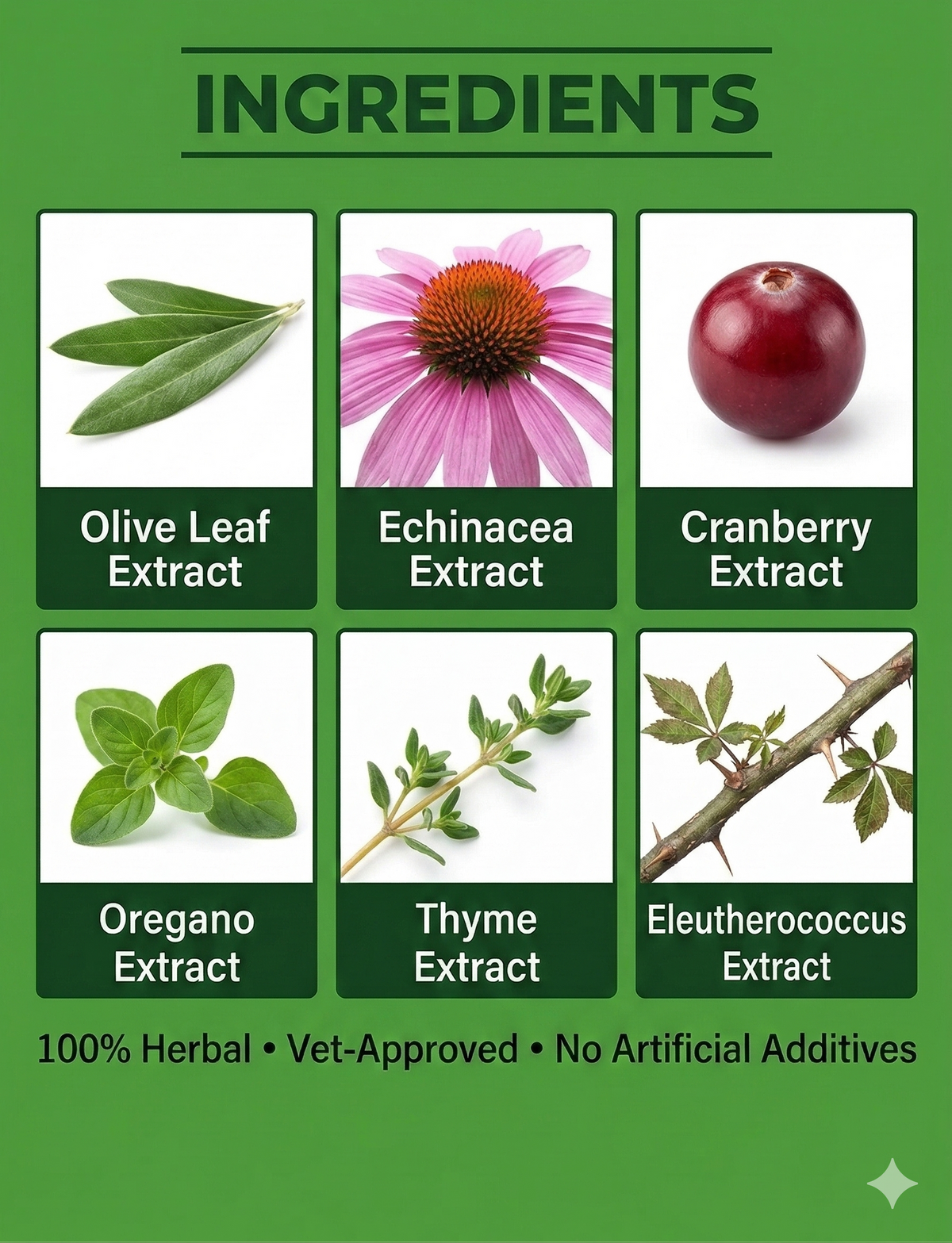 Six plant extracts: olive leaf, echinacea, cranberry, oregano, thyme and eleuthero