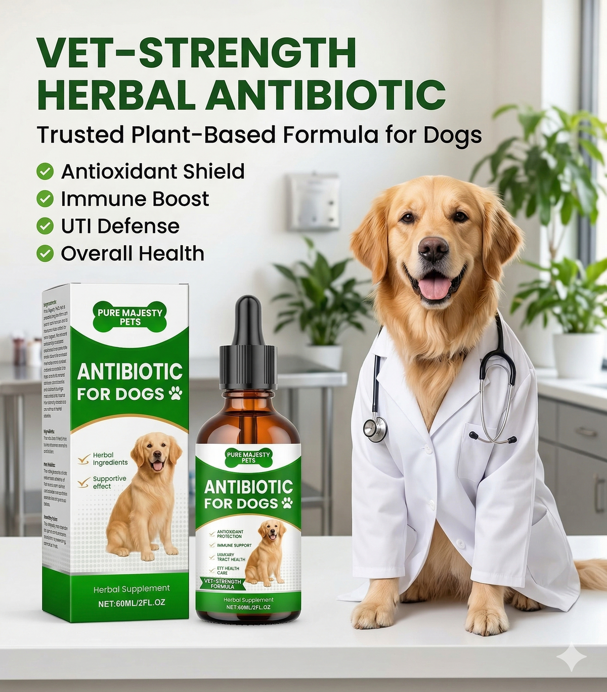 Golden retriever in a white coat with plant-based antibiotic and immune and urinary benefits