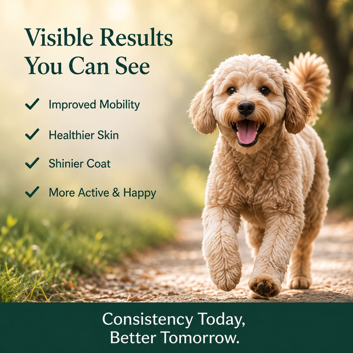 Liquid Collagen for Dogs Australia | Pure Majesty Pets