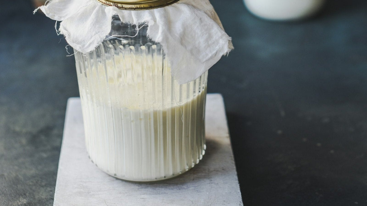 A glass jar of plain kefir, a fermented probiotic some owners consider as kefir for dogs