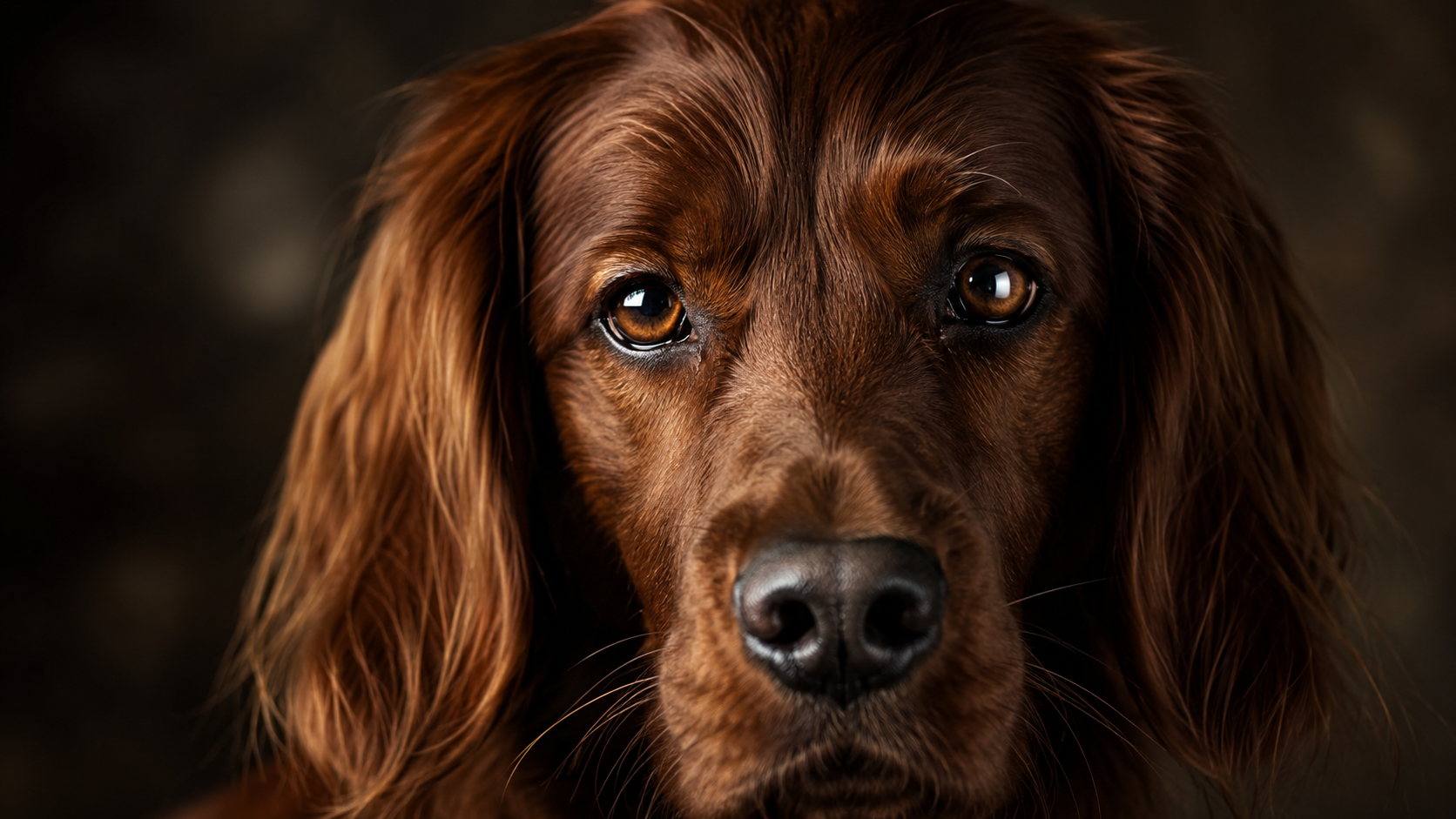 Cinematic close-up of a dog's bright, clear, healthy eyes — 7 warning signs of dog eye infection and what to do
