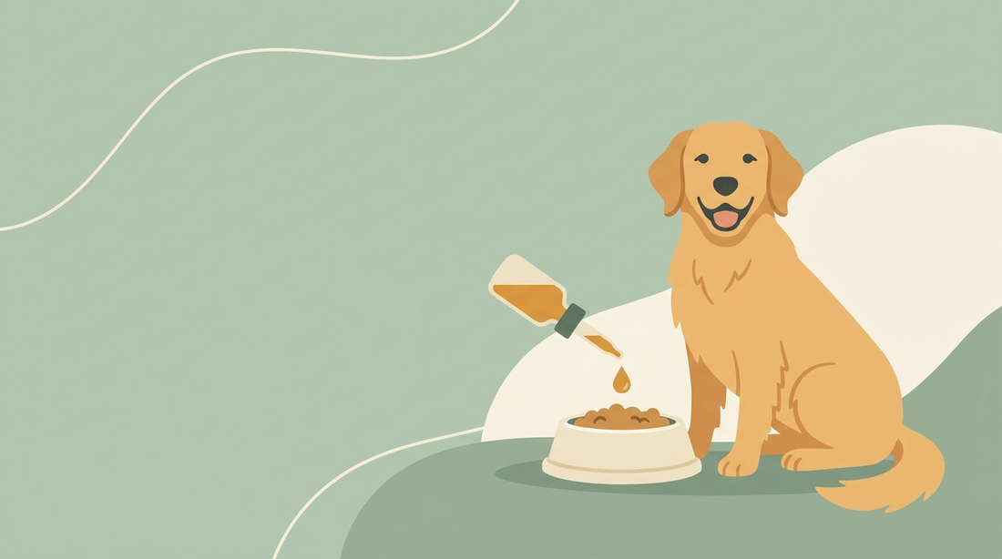 Liquid glucosamine for dogs being added from a dropper into a dog's food bowl