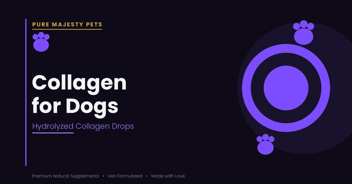 Collagen for Dogs