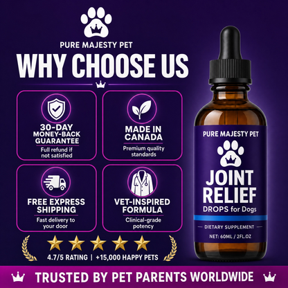 Dog Joint Supplement Drops With Mint Extract Support Mobility Reduce Discomfort For Dogs Hip & Joint Care