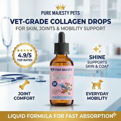 Vet-grade collagen drops for dogs – 4.9/5 top rated – liquid formula for joint comfort, mobility, skin & coat – Pure Majesty Pets