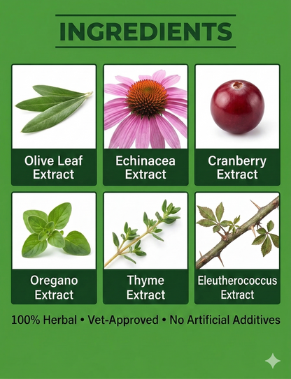 Natural immune booster liquid drops for dogs