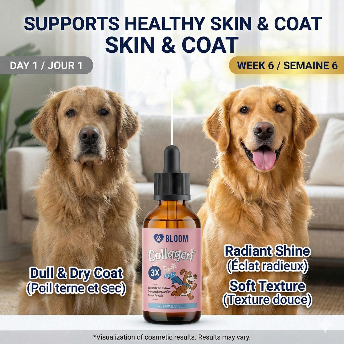 Before and after dog skin coat results with collagen drops – dull dry coat to radiant shine in 6 weeks – Pure Majesty Pets