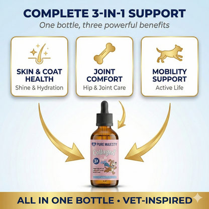 Dog collagen supplement infographic – complete 3-in-1 support: skin & coat health, joint comfort, mobility – Pure Majesty Pets