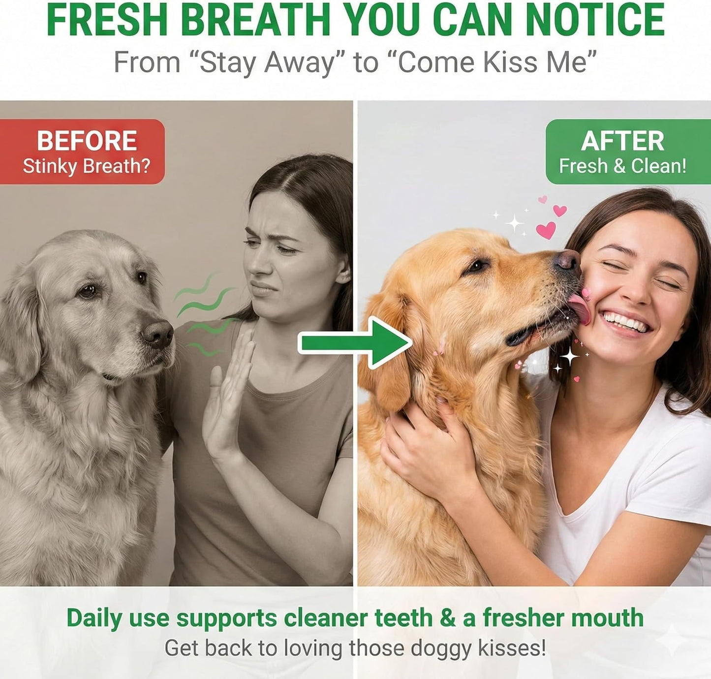 Pure Majesty Pets (a Canadian Company) Dental Powder for Dog - Cat and Dog Plaque Remover - Dental Care, Plaque & Bad Breath Off Powder Dog & Cat - Dental Care Supplies for All Dogs