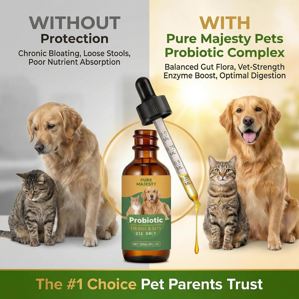 Best dog probiotic liquid formula, 2 x 60 mL dropper bottles for dogs and cats