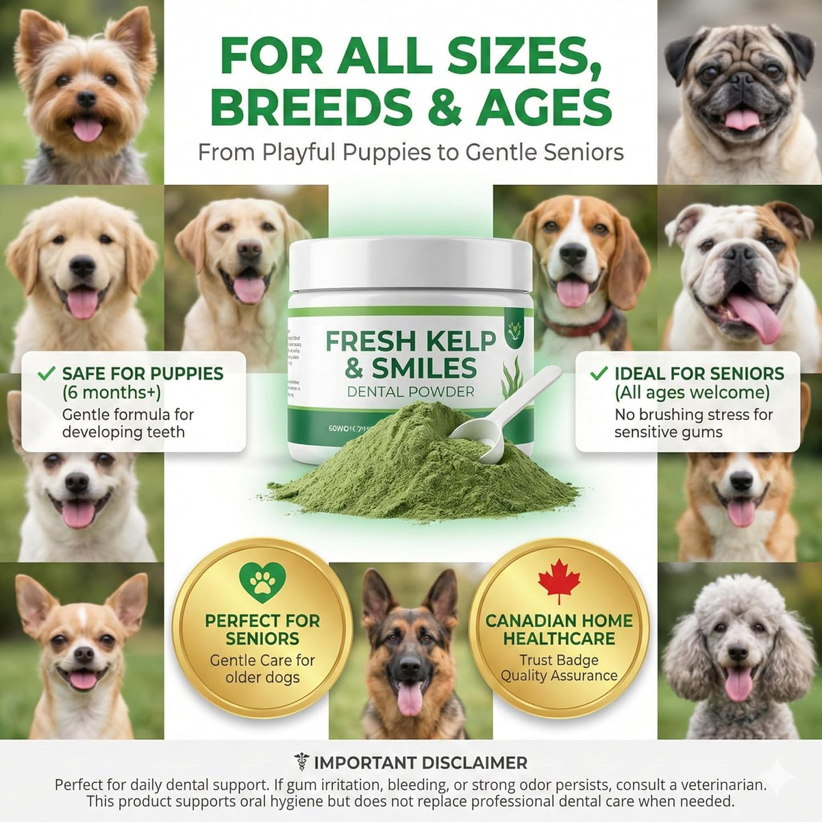 Pure Majesty Pets (a Canadian Company) Dental Powder for Dog - Cat and Dog Plaque Remover - Dental Care, Plaque & Bad Breath Off Powder Dog & Cat - Dental Care Supplies for All Dogs