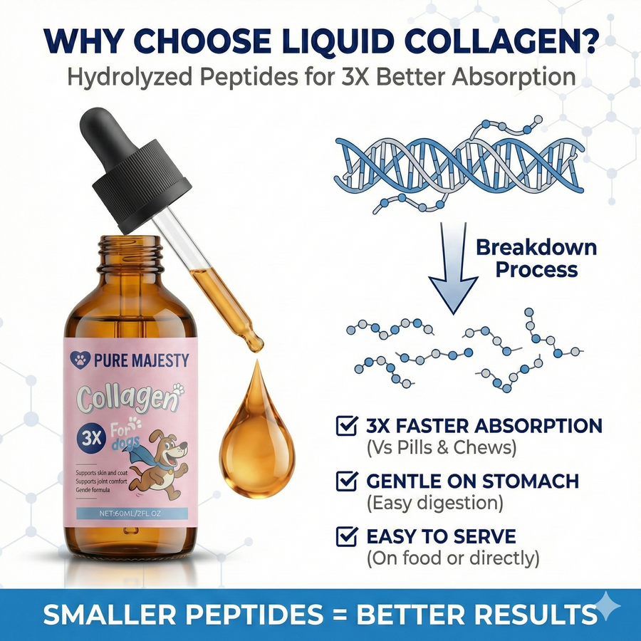 Why choose liquid collagen for dogs — hydrolyzed collagen peptides designed for easy absorption versus pills