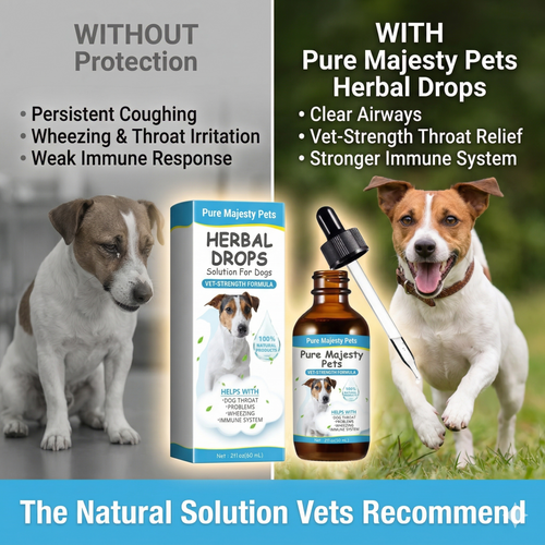 Dog respiratory health herbal drops supplement facts