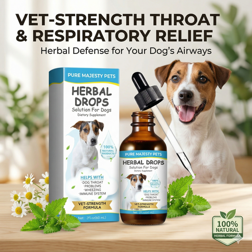 Herbal cough and respiratory support drops for dogs natural remedy