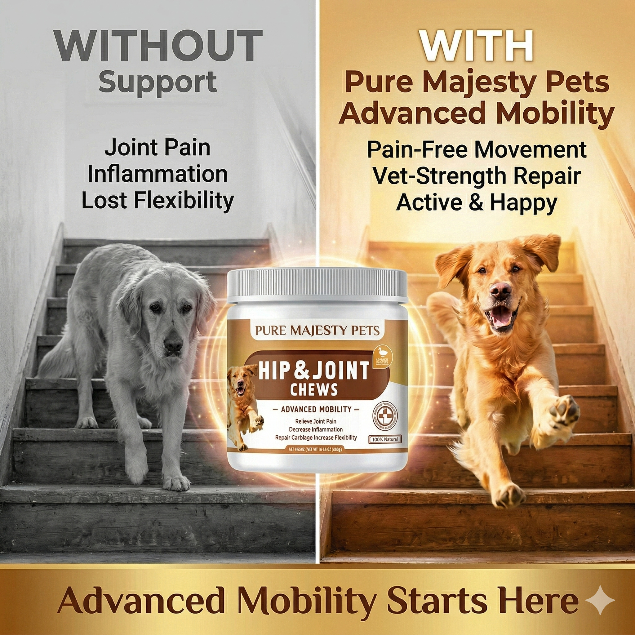 Dog joint supplement chews ingredients and supplement facts