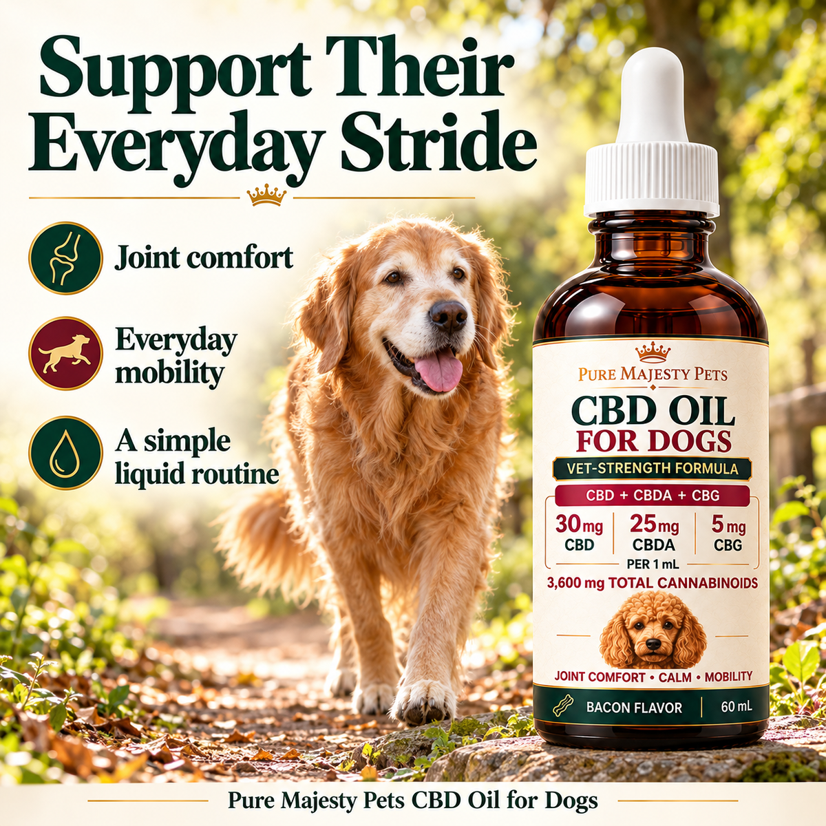 CBD oil for dogs for joint comfort and mobility support