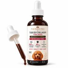 Pure Majesty Pets liquid collagen bottle with dark brown liquid shown in a dropper