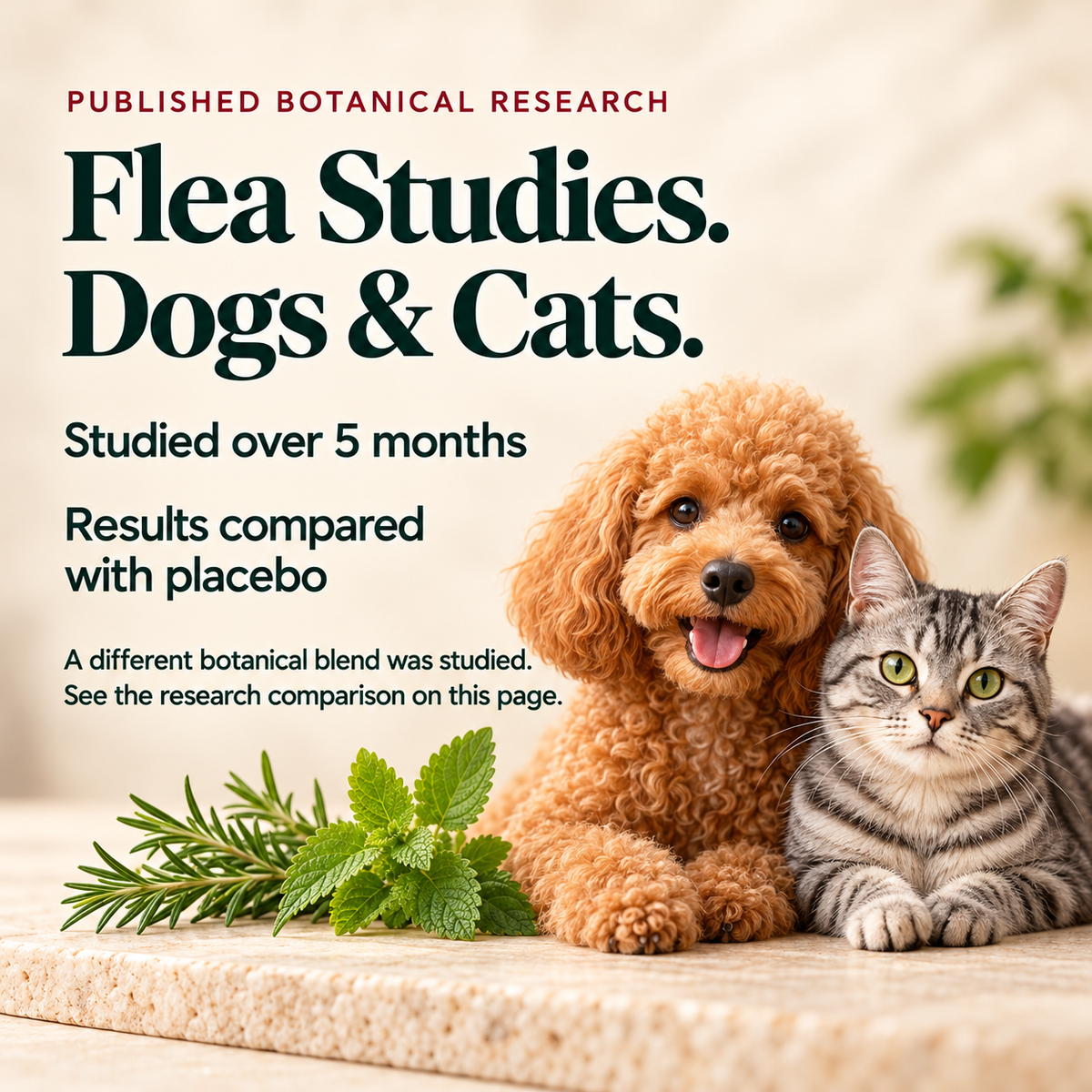 Published five-month botanical flea studies in dogs and cats tested a different blend, not the PMP formula