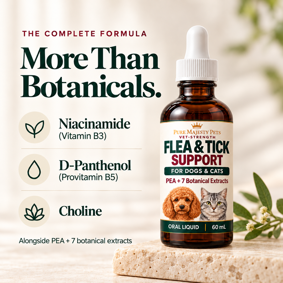 Niacinamide, provitamin B5 and choline alongside PEA and seven botanical extracts