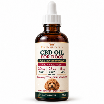 Hemp CBD for Dogs — Vet-Strength CBD Oil for Dogs CBD + CBDA + CBG, 60 mL