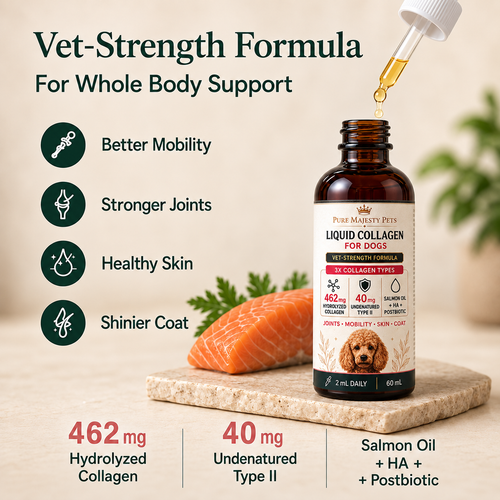 Vet-strength liquid collagen formula for dog mobility, joints, skin and coat