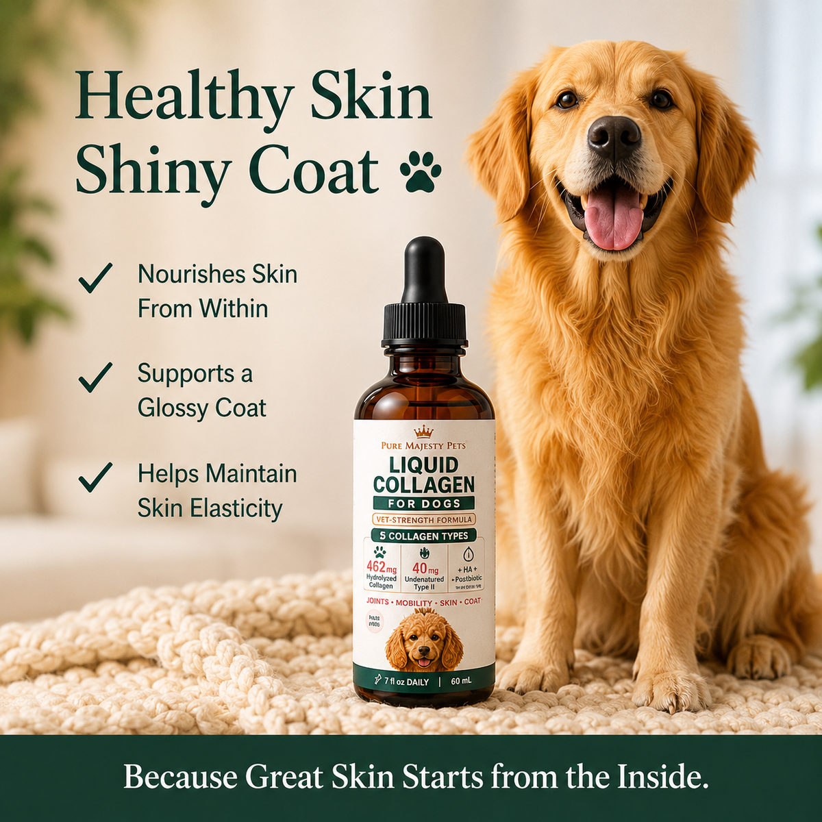 Liquid collagen for dogs supporting healthy skin and a shiny coat
