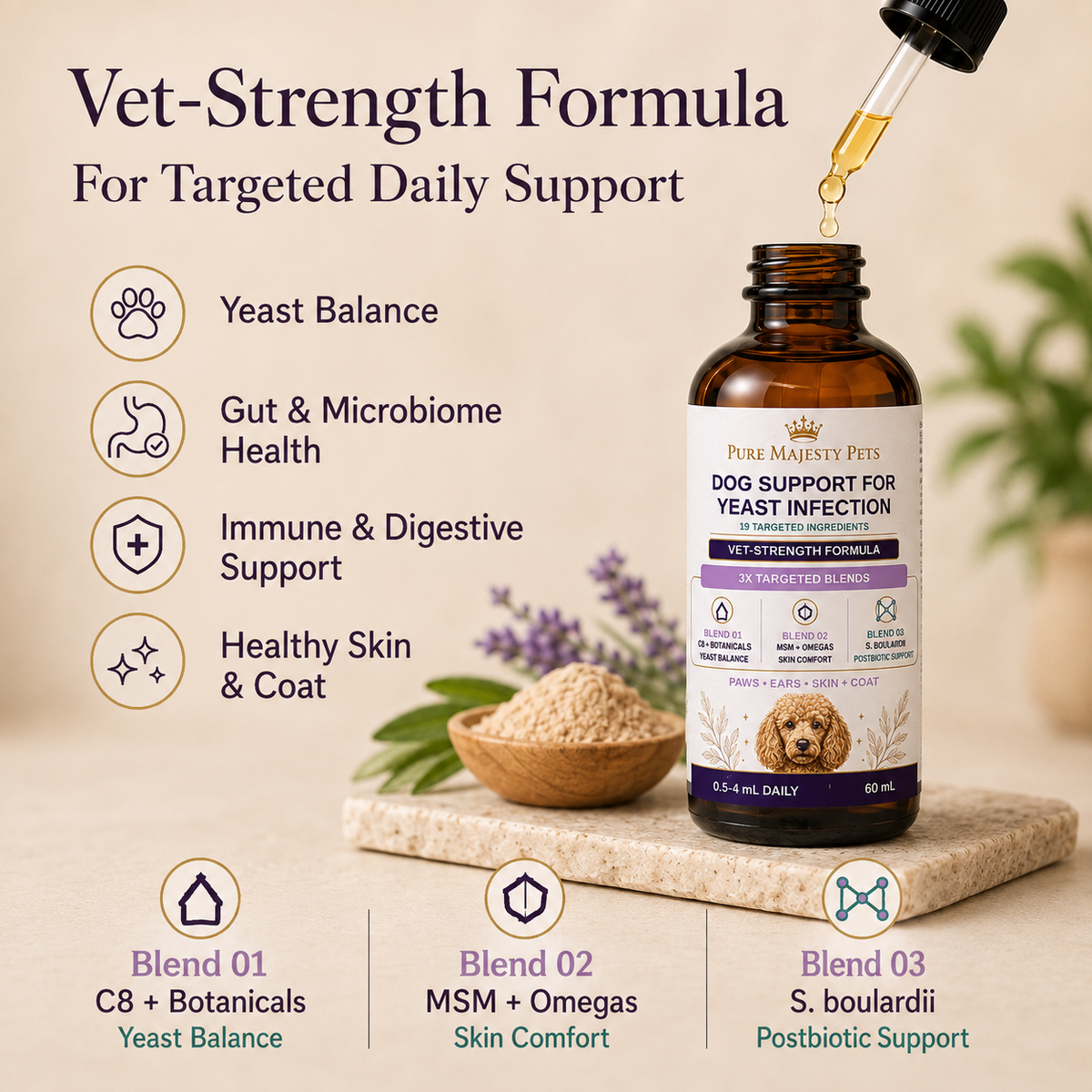 Dog Yeast Infection Treatment UK | Skin, Ears & Paws